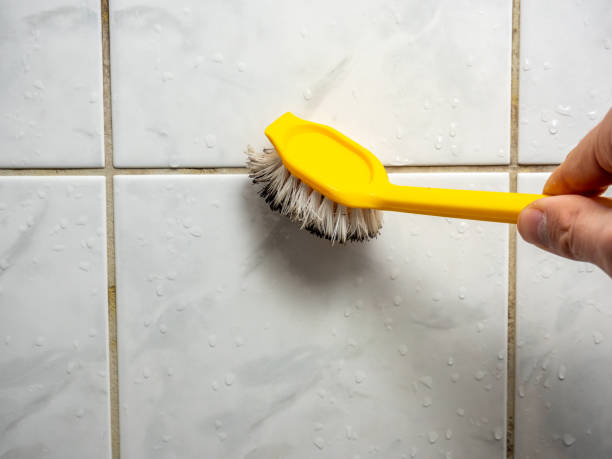 Best Home Mold Removal  in Willits, CA