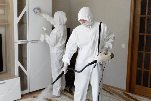 Willits, CA Mold Removal Company